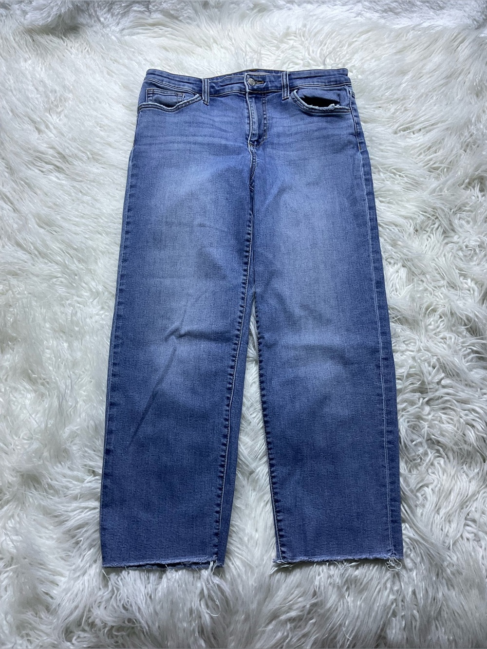 Joe’s Jeans Straight Ankle Crop Jeans